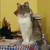 Отзыв от Эмма Горбунова
